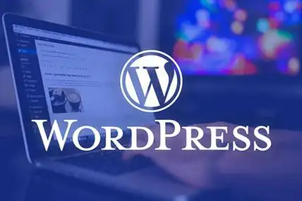 如何制作一个WordPress采集插件并将其添加到后台-千里码资源库